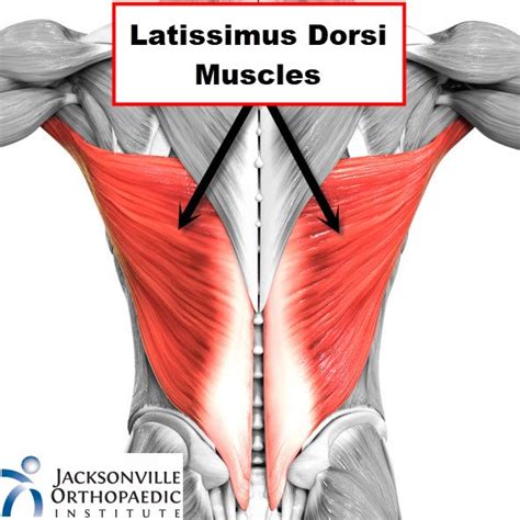 How does LATS.